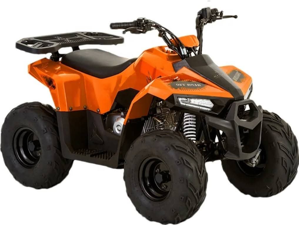 MUDHAWK 110 CC